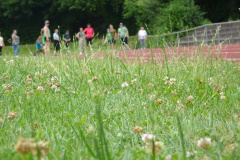 Sporttag2025052
