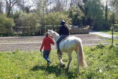 H5-im-Alltag079