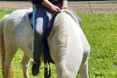 H5-im-Alltag081