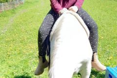 H5-im-Alltag082