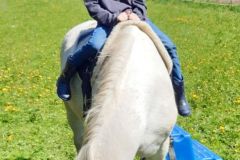 H5-im-Alltag087