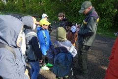 Zwei-Tage-im-Wald-H5-und-G2001