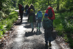 Zwei-Tage-im-Wald-H5-und-G2003