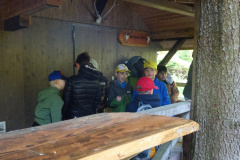 Zwei-Tage-im-Wald-H5-und-G2005