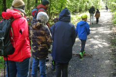 Zwei-Tage-im-Wald-H5-und-G2013