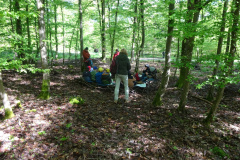 Zwei-Tage-im-Wald-H5-und-G2014