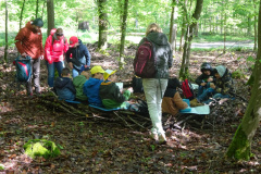 Zwei-Tage-im-Wald-H5-und-G2015