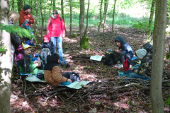 Zwei-Tage-im-Wald-H5-und-G2017