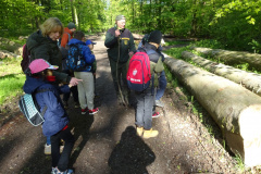 Zwei-Tage-im-Wald-H5-und-G2021