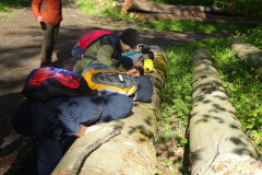 Zwei-Tage-im-Wald-H5-und-G2022