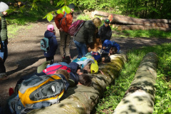 Zwei-Tage-im-Wald-H5-und-G2023