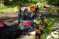 Zwei-Tage-im-Wald-H5-und-G2024