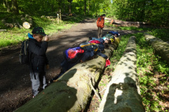 Zwei-Tage-im-Wald-H5-und-G2025