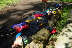 Zwei-Tage-im-Wald-H5-und-G2026
