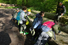 Zwei-Tage-im-Wald-H5-und-G2027