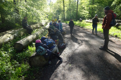 Zwei-Tage-im-Wald-H5-und-G2028