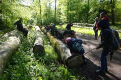 Zwei-Tage-im-Wald-H5-und-G2029