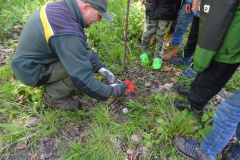 Zwei-Tage-im-Wald-H5-und-G2039