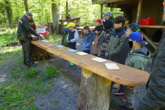 Zwei-Tage-im-Wald-H5-und-G2047