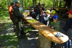 Zwei-Tage-im-Wald-H5-und-G2057
