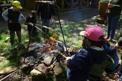 Zwei-Tage-im-Wald-H5-und-G2064