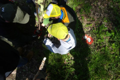 Zwei-Tage-im-Wald-H5-und-G2067