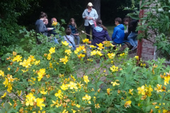 Gartenfest-2026046