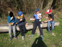 Muellsammeltag-2026061
