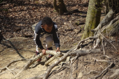 Muellsammeltag-2026020