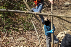 Muellsammeltag-2026030