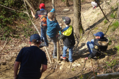 Muellsammeltag-2026031