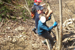 Muellsammeltag-2026033