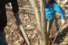 Muellsammeltag-2026037