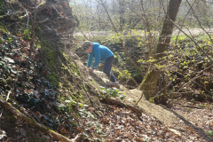 Muellsammeltag-2026051