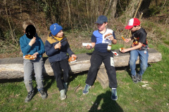 Muellsammeltag-2026061