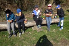 Muellsammeltag-2026062