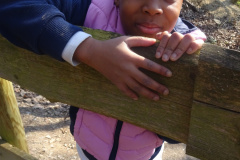 Muellsammeltag-2026070