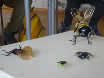 Projekt-Den-Insekten-auf-der-Spur-2026010
