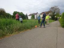 Projekt-Den-Insekten-auf-der-Spur-2026020