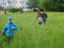 Projekt-Den-Insekten-auf-der-Spur-2026022