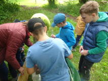 Projekt-Den-Insekten-auf-der-Spur-2026023