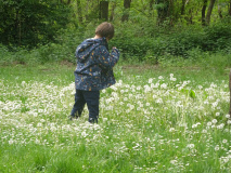 Projekt-Den-Insekten-auf-der-Spur-2026030