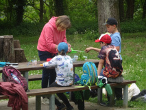 Projekt-Den-Insekten-auf-der-Spur-2026042
