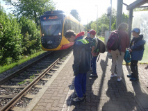 Projekt-Den-Insekten-auf-der-Spur-2026055