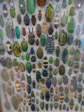 Projekt-Den-Insekten-auf-der-Spur-2026079