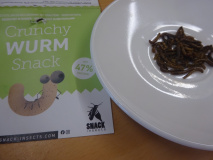 Projekt-Den-Insekten-auf-der-Spur-2026103