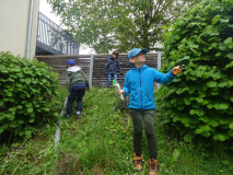Projekt-Den-Insekten-auf-der-Spur-2026111