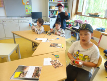Projekt-Den-Insekten-auf-der-Spur-2026112