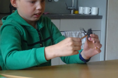 Projekt-Den-Insekten-auf-der-Spur-2026004