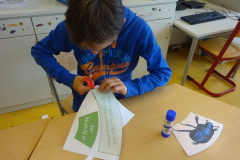 Projekt-Den-Insekten-auf-der-Spur-2026015
